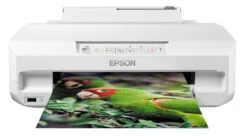 Stampante Ad Inchiostro Epson Expression Photo XP-55 Bianco