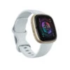 Fitbit Sense 2 Oro GPS (satellitare)