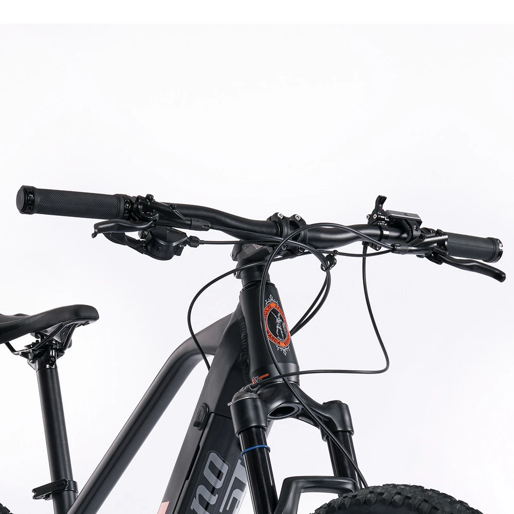 Mountain E-Bike Legnano Fuoco Mamba 45 Alluminio Ruote Da 29 Pollici Nero - immagine 7
