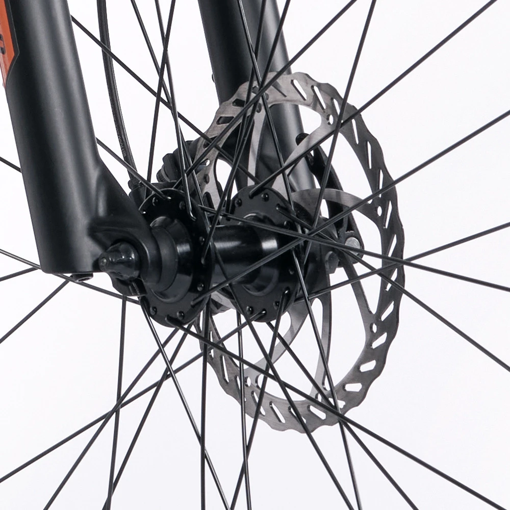 Mountain E-Bike Legnano Fuoco Mamba 45 Alluminio Ruote Da 29 Pollici Nero - immagine 8