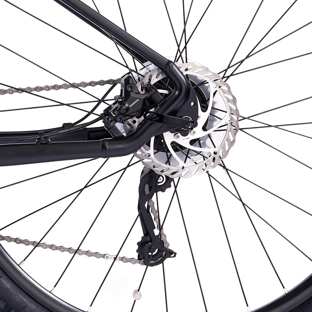 Mountain E-Bike Legnano Fuoco Mamba 50 Alluminio Ruote Da 29 Pollici Nero - immagine 11