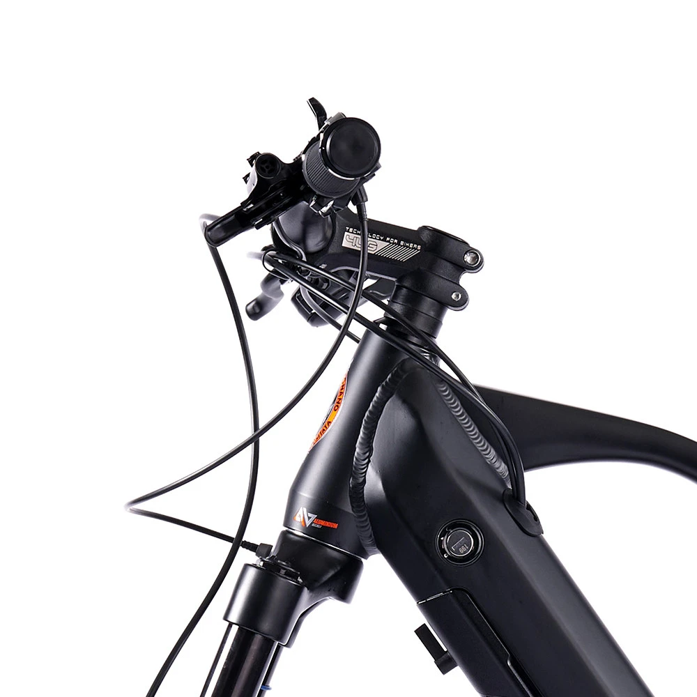 Mountain E-Bike Legnano Fuoco Mamba 50 Alluminio Ruote Da 29 Pollici Nero - immagine 15