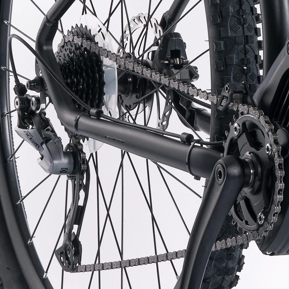 Mountain E-Bike Legnano Fuoco Mamba 50 Alluminio Ruote Da 29 Pollici Nero - immagine 16