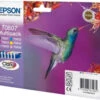 Epson Hummingbird Multipack A 6 Colori